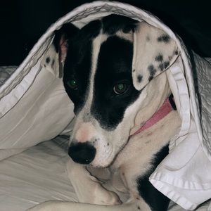 Meet your Posher, Claire